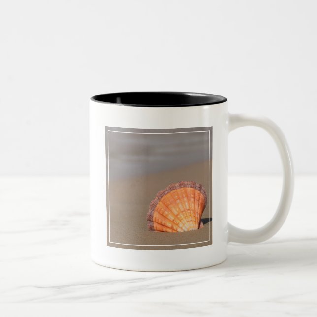 Scallop Shell| Crete, Greece Two-Tone Coffee Mug (Right)