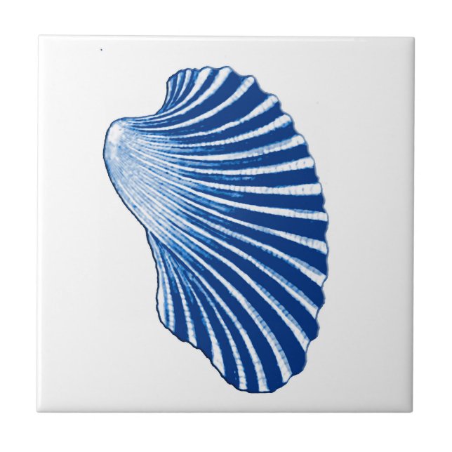 Scallop Shell, Indigo Blue and White Tile (Front)