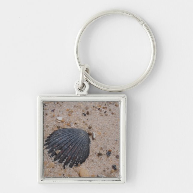 Scallop Shell keyring (Front)