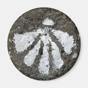 Scallop Shell Magnet