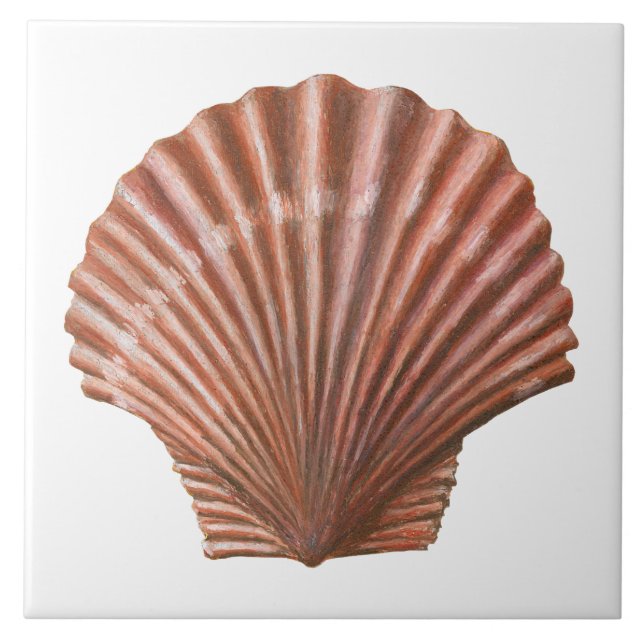 Scallop Shell Tile (Front)