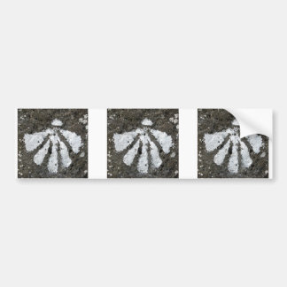 Scallop Shells Bumper Sticker