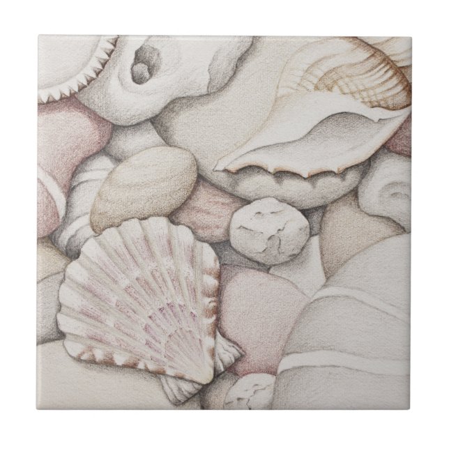 Scallop & Tibia Shells and Pebbles Ceramic Tile (Front)