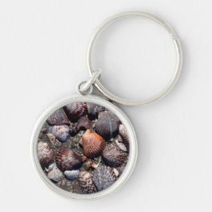Scalloped Colourful Seashells On A Black Sand Key Ring