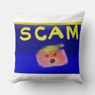 SCAM Pillow