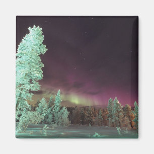 Scandinavia, Finland, Lapland, Kakslauttanen, Magnet