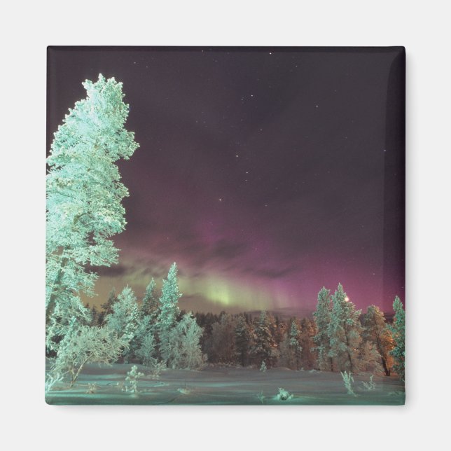 Scandinavia, Finland, Lapland, Kakslauttanen, Magnet (Front)