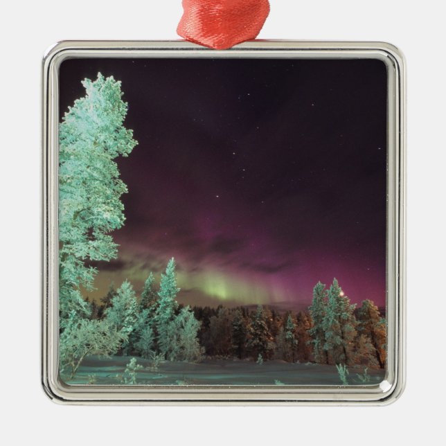 Scandinavia, Finland, Lapland, Kakslauttanen, Metal Tree Decoration (Front)