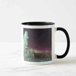 Scandinavia, Finland, Lapland, Kakslauttanen, Mug
