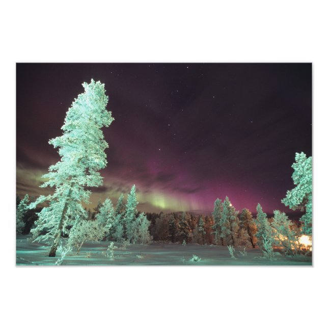 Scandinavia, Finland, Lapland, Kakslauttanen, Photo Print (Front)