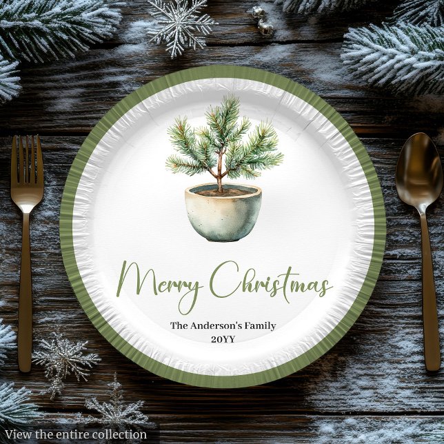Scandinavian Boho Christmas Bouquet in Earthy  Paper Plate (Scandinavian Boho Christmas Bouquet in Earthy Plate

)