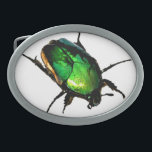 Scarab Beetle Belt Buckle<br><div class="desc">The Egyptian Scarab Beetle has been out in full force this summer. The feral cats have been "gifting" the workshop with these beautiful bugs in the evening. If you would like to see this image on any of the products Zazzle creates, please send us a message. Need assistance customising this...</div>