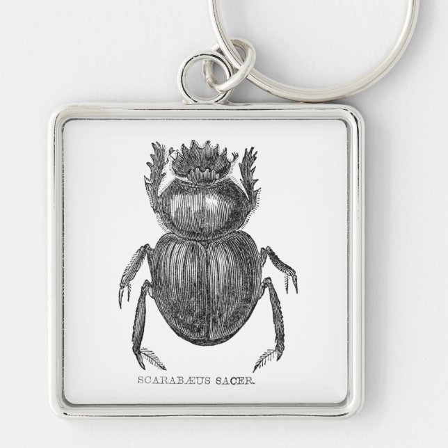 Scarab Beetle Vintage pen and ink drawing Key Ring (Front)