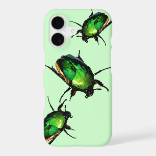 Scarab Beetles