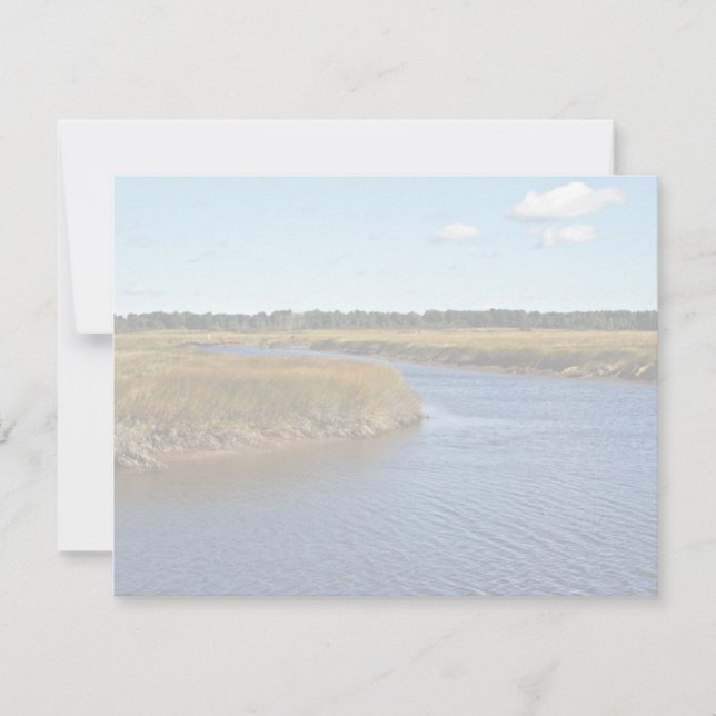 Scarborough Marsh (saltwater) Maine (Front)