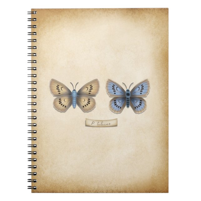 Scarce Large Blue Butterfly Specimen Vintage Style Notebook (Front)