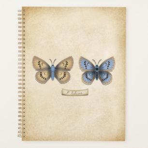 Scarce Large Blue Butterfly Specimen Vintage Style Planner