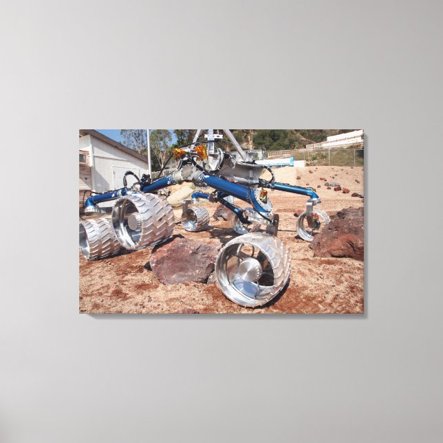 Scarecrow, a mobility-testing model canvas print (Front)