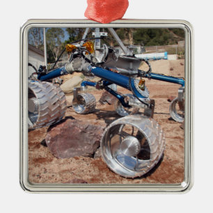 Scarecrow, a mobility-testing model metal tree decoration