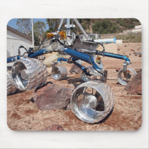 Scarecrow, a mobility-testing model mouse mat