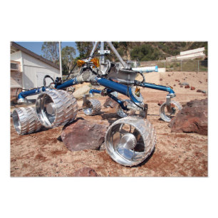 Scarecrow, a mobility-testing model photo print