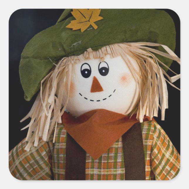 Scarecrow and Green Hat Square Sticker (Front)