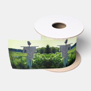Scarecrow In Garden Field Satin Ribbon