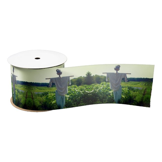 Scarecrow In Garden Field  Satin Ribbon (Spool)