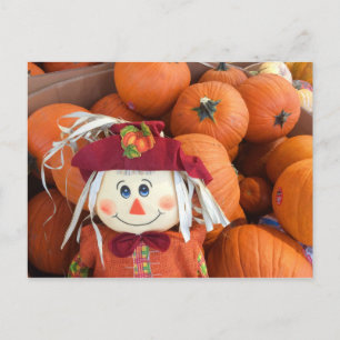 Scarecrow & Pumpkins Postcard