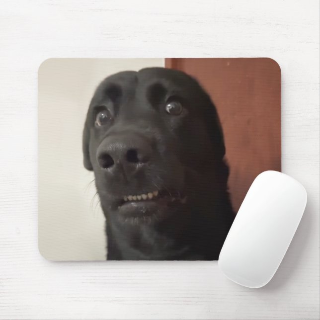 Scared Dog Meme Mouse Pad (With Mouse)