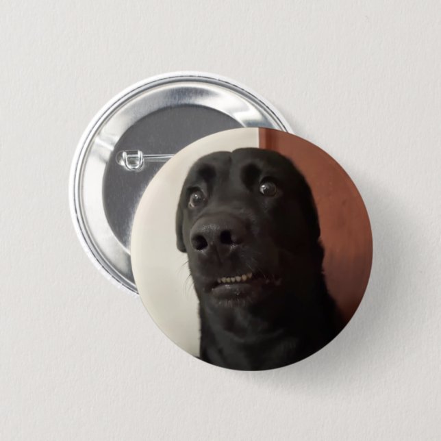 Scared Dog Meme Pin Button (Front & Back)