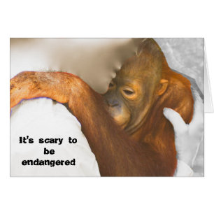 Scared Endangered Orangutan