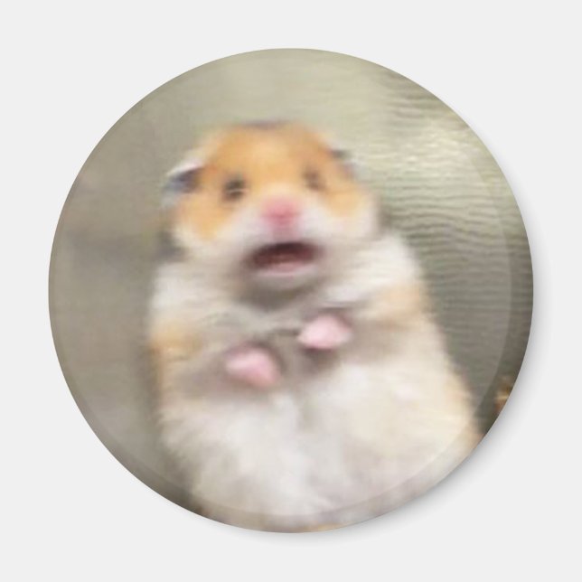 Scared Hamster Meme Magnet (Front)