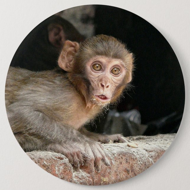 Scared monkey with big eyes button (Front)