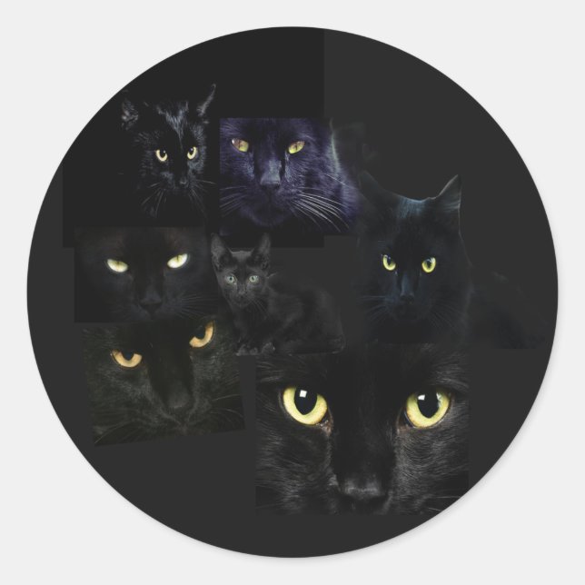 Scaredy Cats Sticker (Front)