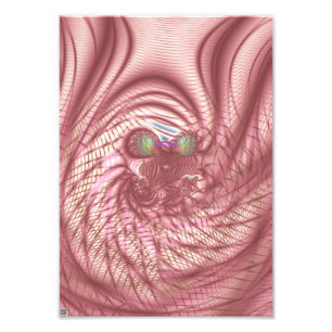 Scarlet Bird Photo Print