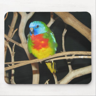 Scarlet-Chested Parakeet - Neophema splendida Mouse Mat