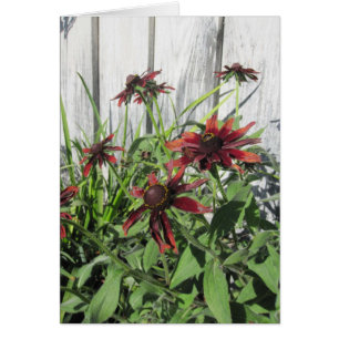 Scarlet Flowers and Bees in Garden Blank Note Card