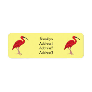 Scarlet ibis bird cartoon illustration