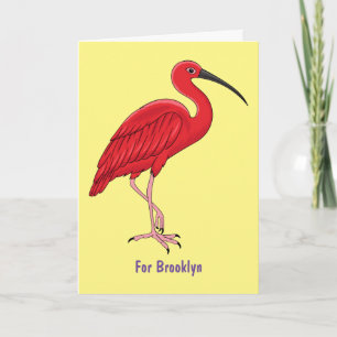 Scarlet ibis bird cartoon illustration  card