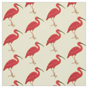 Scarlet ibis bird cartoon illustration fabric