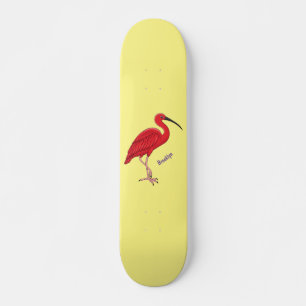 Scarlet ibis bird cartoon illustration skateboard