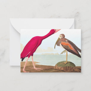 Scarlet ibis by John James Audubon Card