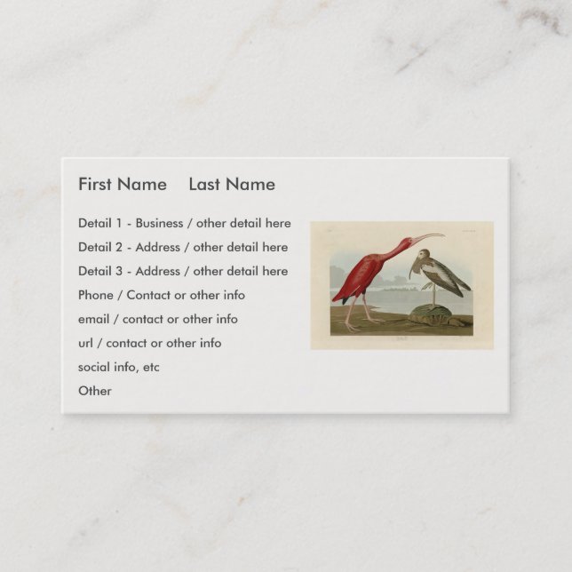 Scarlet Ibis - from Audubon's Birds of America Business Card (Front)