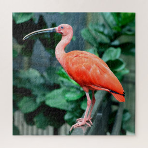 Scarlet Jigsaw Puzzle