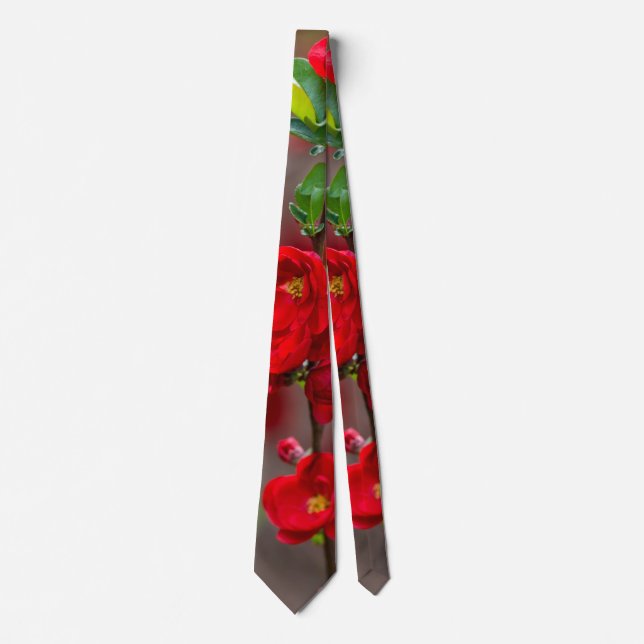Scarlet Line Neck Tie (Front)