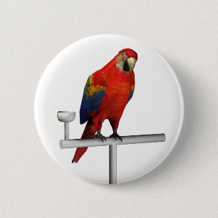 Scarlet Macaw 6 Cm Round Badge