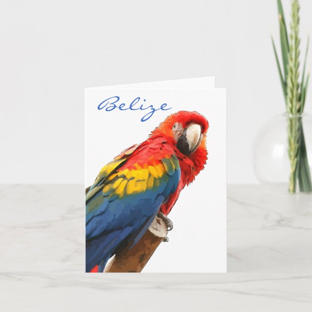 Scarlet Macaw Belise Note Card (Front)