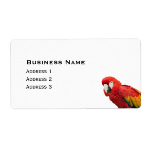 Scarlet Macaw Bird