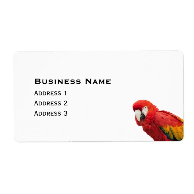 Scarlet Macaw Bird (Front)